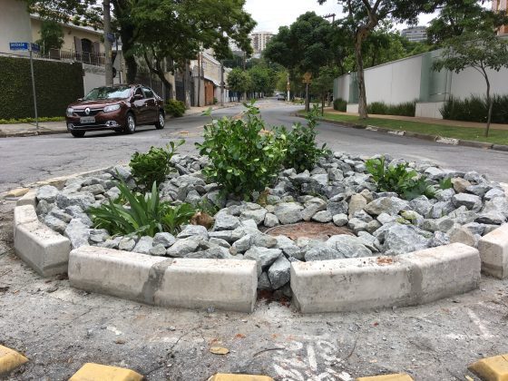 Os jardins de chuva aproveitam a força da gravidade para a rega das plantas