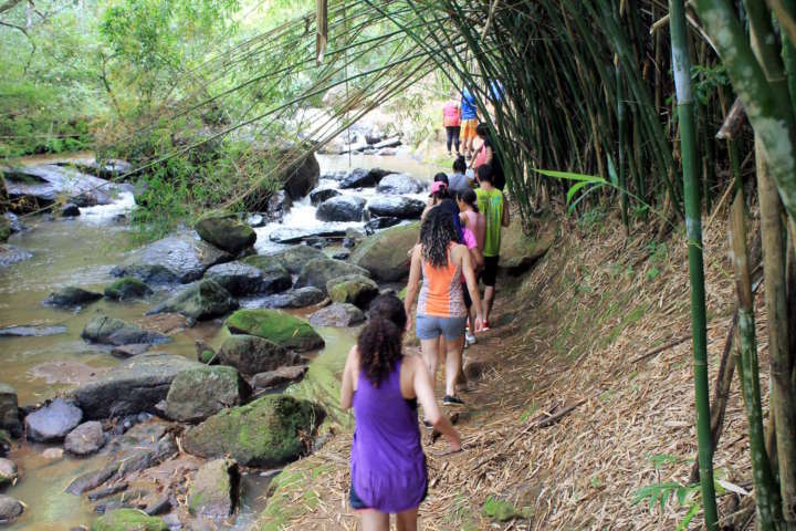 Trilha das Cachoeiras,no Parque Aui Mauê