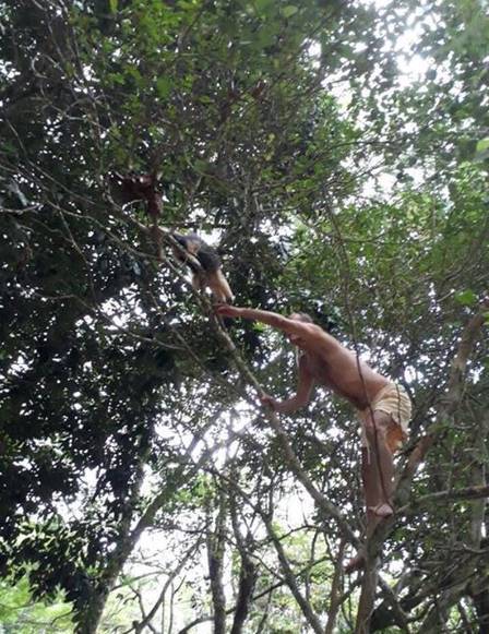 Ney Matogrosso resgata tamanduá