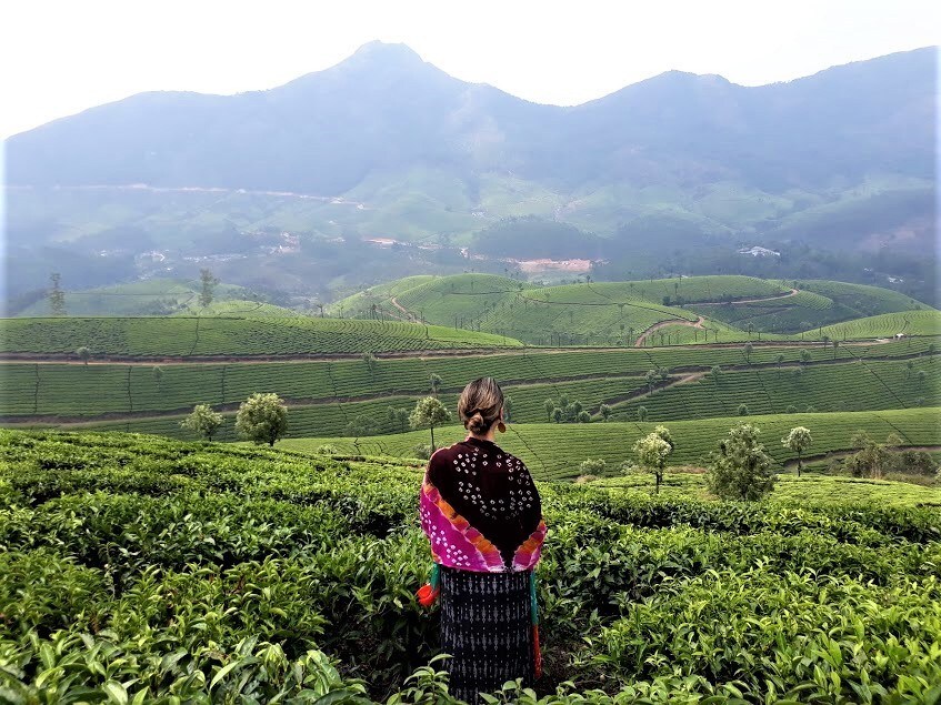 As plantações de chá de Munnar