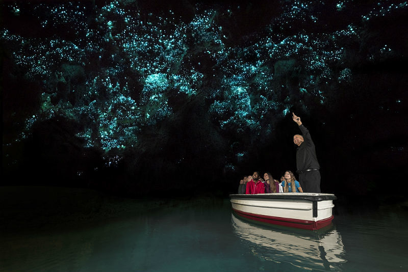 Organismos brilhantes iluminam teto das Cavernas de Waitomo