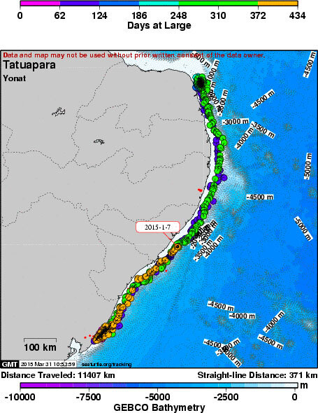 Mapa de telemetria obtido através do transmissor instalado na tartaruga- marinha monitorada pelo Projeto Tamar.