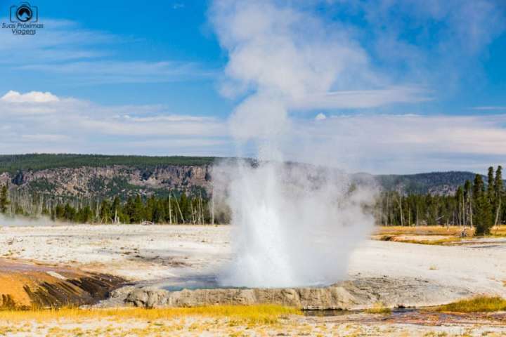 Yellowstone fica sobre uma caldeira vulcânica, originando centenas de gêiseres
