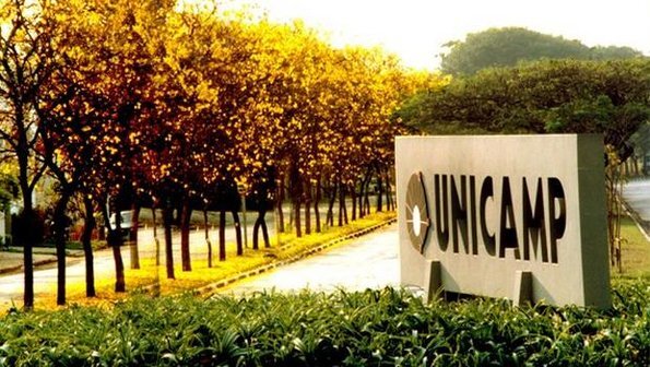 Unicamp tem vagas em 12 novos cursos gratuitos 100% online