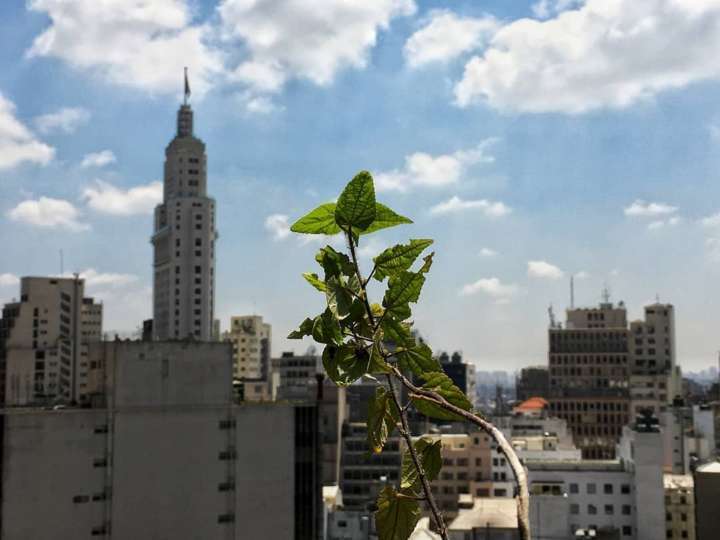 Vista de um dos três mirantes do Edifício Matarazzo