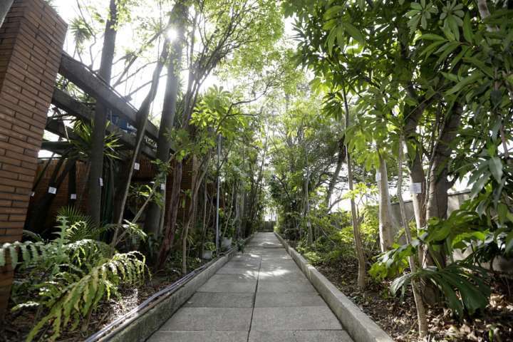 Jardim suspenso do Edifício Matarazzo