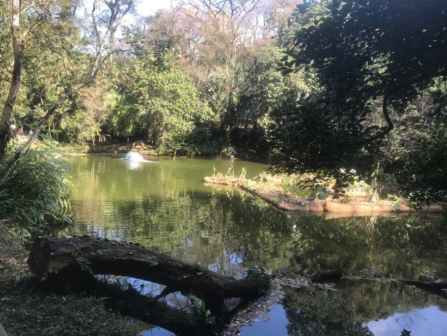 Os jardins flutuantes foram implementados no Parque Burle Marx, em São Paulo