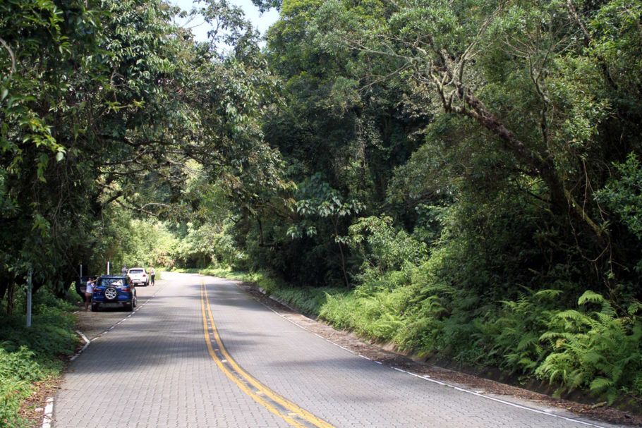 A Estrada Parque Cunha-Paraty passa pelo Velho Caminho do Ouro e pelo interior do Parque Nacional da Serra da Bocaina