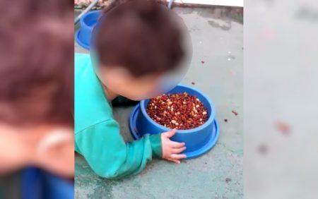 Mãe incentiva filho deficiente de 2 anos a comer ração em vasilha de cachorro