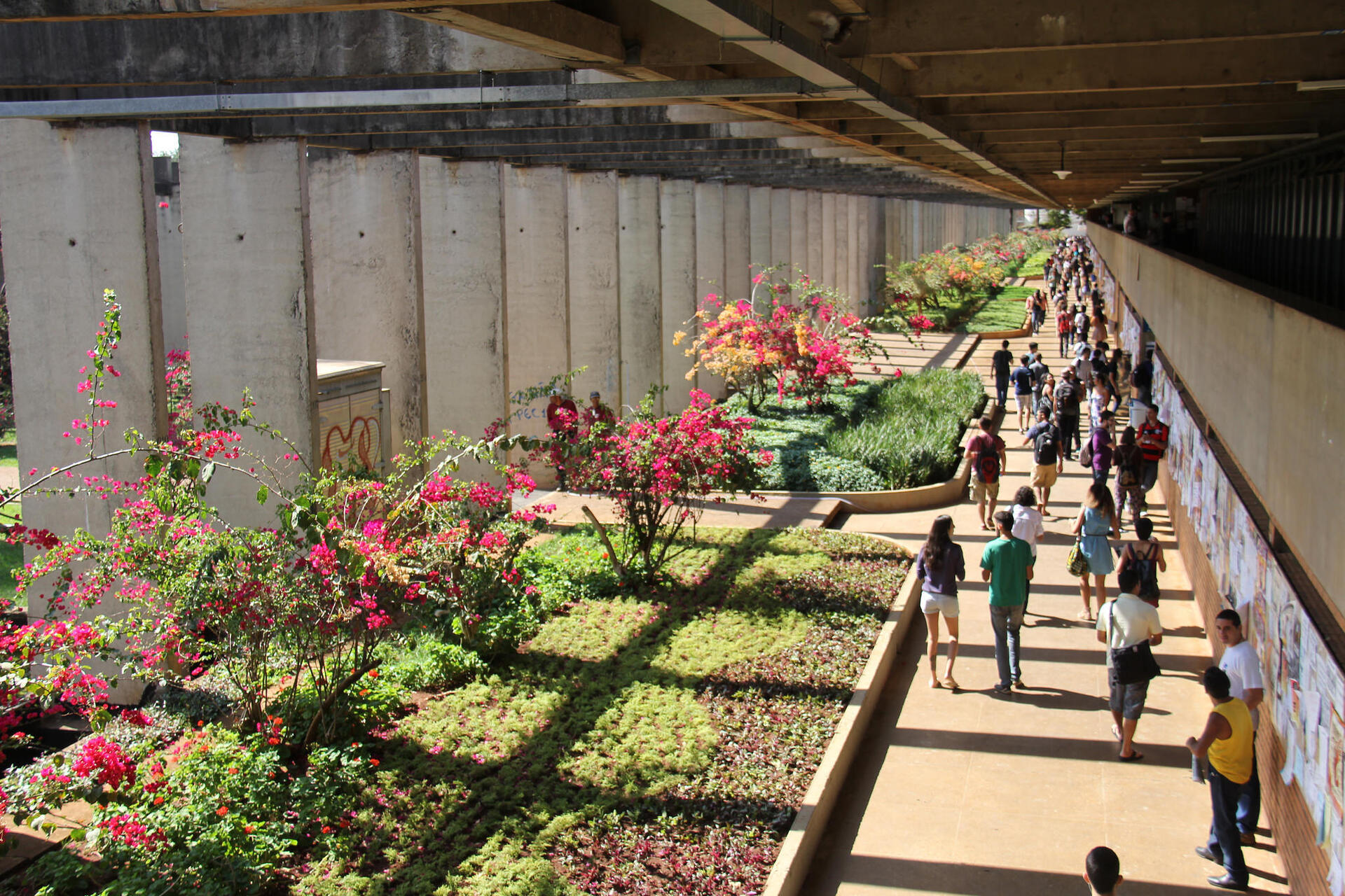 A Universidade de Brasília abre caminho para a inclusão e participação ativa dos idosos com uma inédita reforma universitária