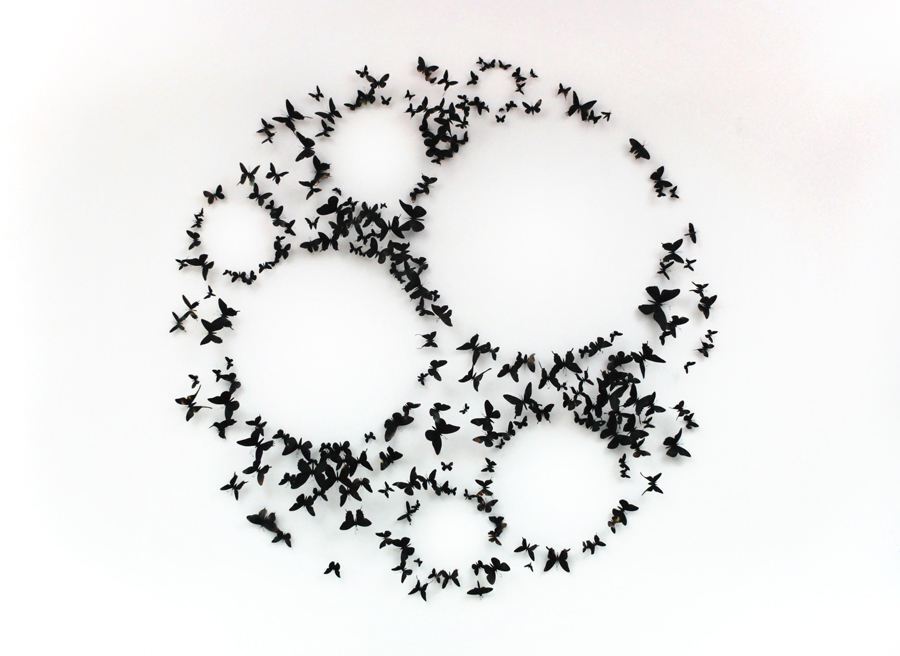 O voo das borboletas feitas de latas de alumínio adquire novas formas