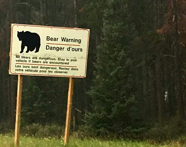 Placa na rodovia alertando os motoristas para ficarem dentro dos veículos caso avistem ursos