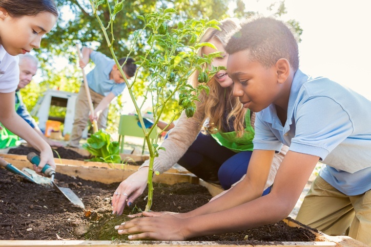 Hortas na escola resgatam a relação dos alunos com a natureza e estimulam hábitos sustentáveis 