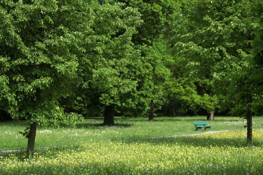 Vista do Englischer Garten, em Munique