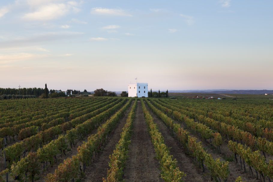 Parreirais da vinícola Herdade do Esporão, uma das mais tradicionais do Alentejo