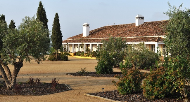 Herdade do Sobroso é uma bela propriedade rural no Alentejo, com 1600 hectares de área, dos quais apenas 52 estão plantados com vinhedos