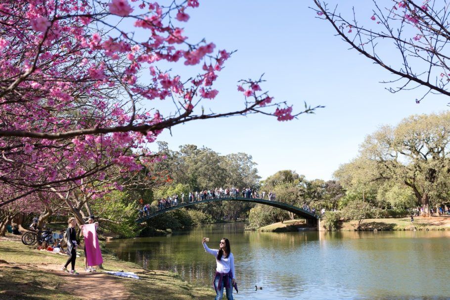 O Parque do Ibirapuera é um dos espaço mais visitados em São Paulo.