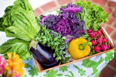 A Catraca Livre te ajuda a comer melhor com uma listinha de mercados online de produtos orgânicos