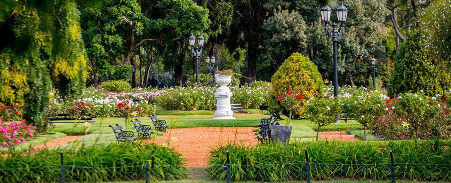 Parque tem 3,4 hectares de rosas de todos os tipos e cores para apreciar