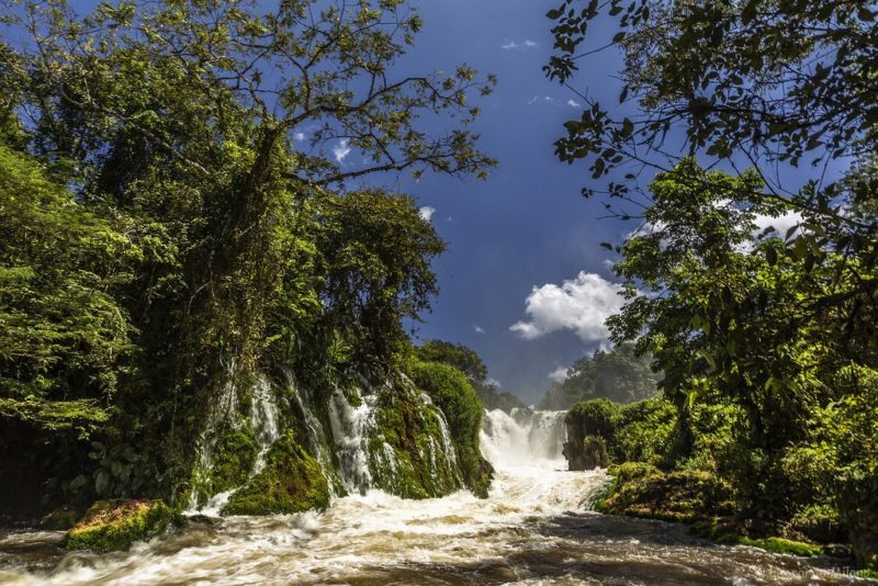 Parque Nacional Montanhas do Tucumaque