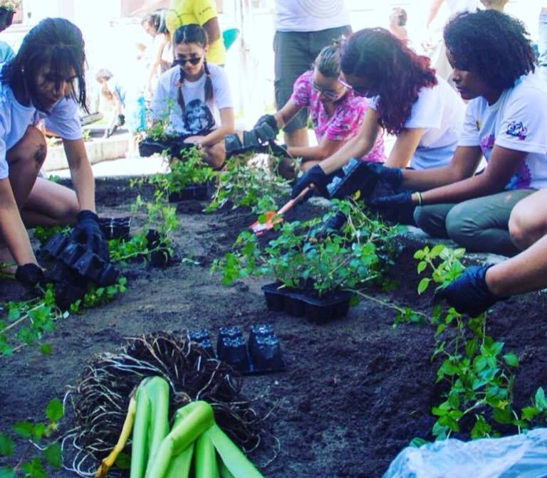 O projeto de hortas urbanas Verde Cidadão é realizado mediante parcerias em Belém