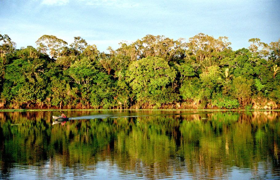 Amazônia: o Brasil detém o maior patrimônio de biodiversidade do mundo