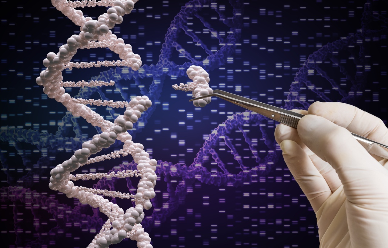 Com a CRISPR, é possível recortar uma sequência específica de gene com problema