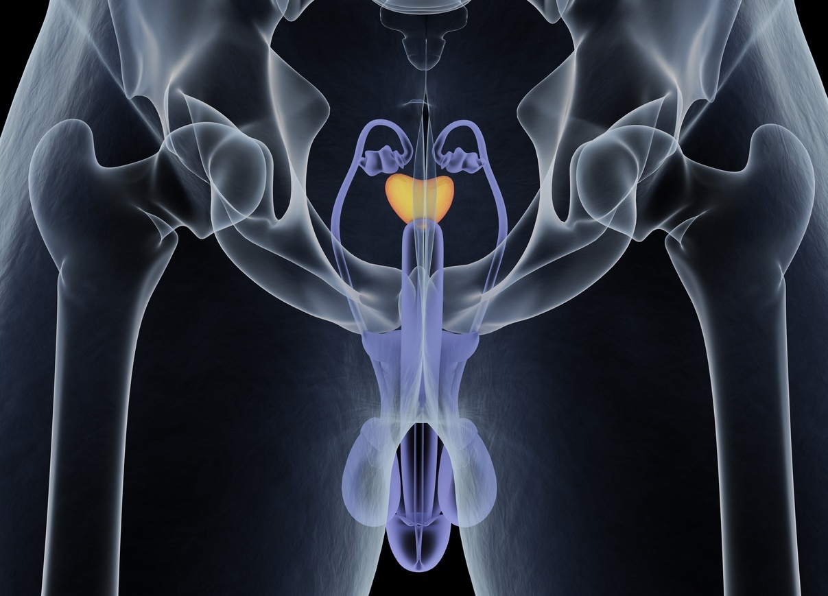 ilustração que mostra a próstata