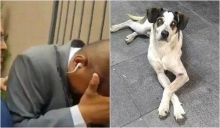Segurança confessou ter matado cachorro no Carrefour de Osasco