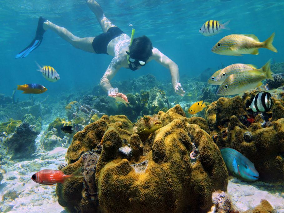 Caribe é um dos melhores lugares do mundo para praticar mergulho