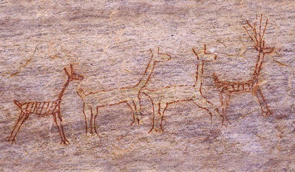 Animais são os principais assuntos das pinturas encontradas na região