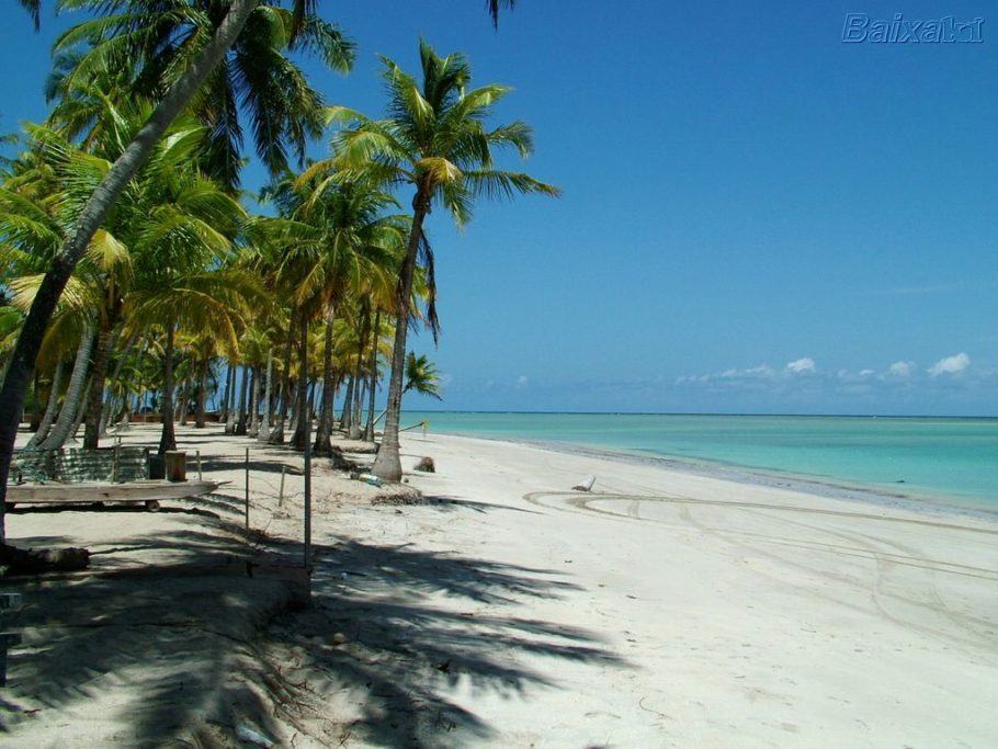 Praia do Toque, Alagoas