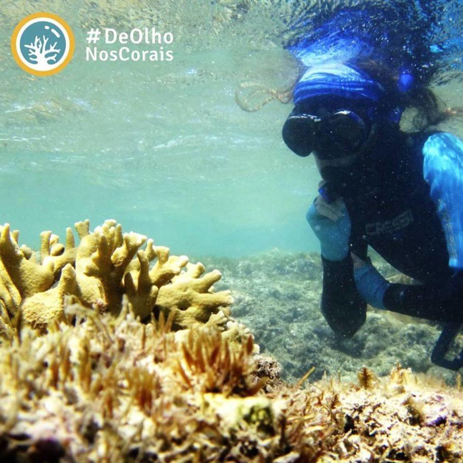 A preservação de corais também depende da boa vontade dos mergulhadores