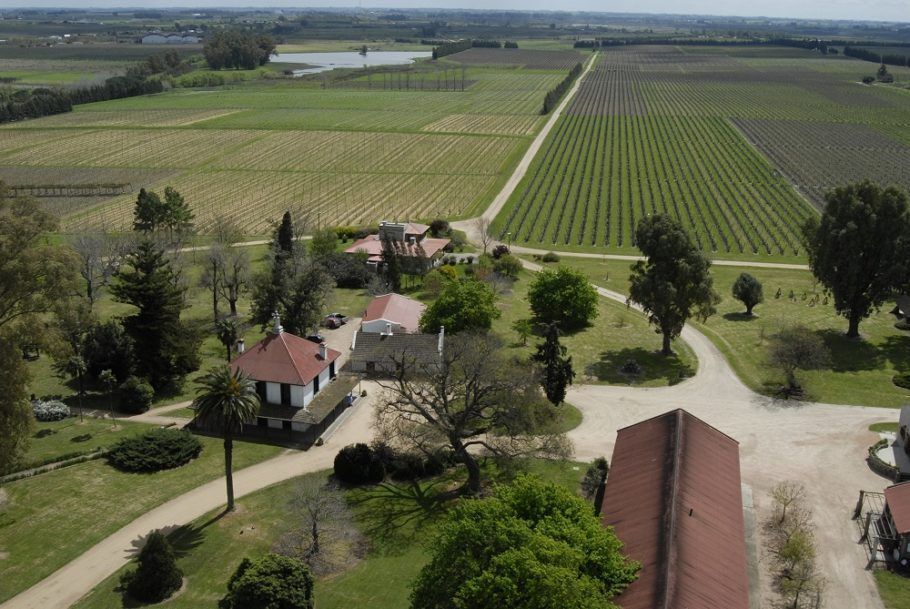 Vista aérea da bodega Juanicó, que elabora a reconhecida marca de vinhos Don Pascual
