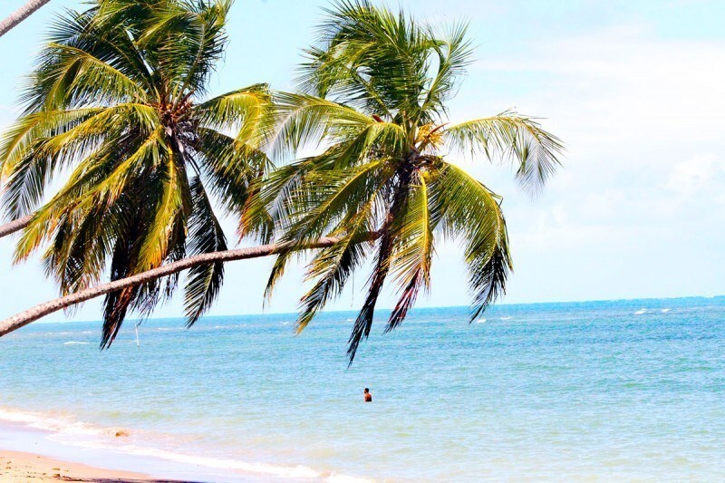 Praias vazias de Alagoas: Patacho