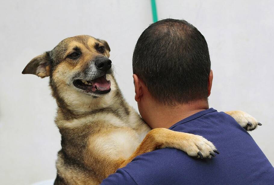 cachorro dando um abraço no tutor