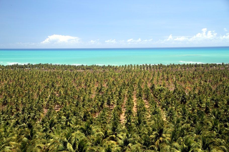 Mirante do Gunga, no litoral sul de Alagoas