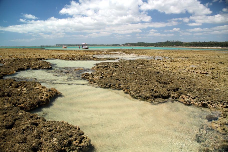 Piscinas naturais da Praia do Marceneiro, em Alagoas
