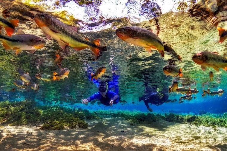 Turistas fazem flutuação no rio da Prata, em Bonito, um dos passeios indicados como finalistas do prêmio internacional