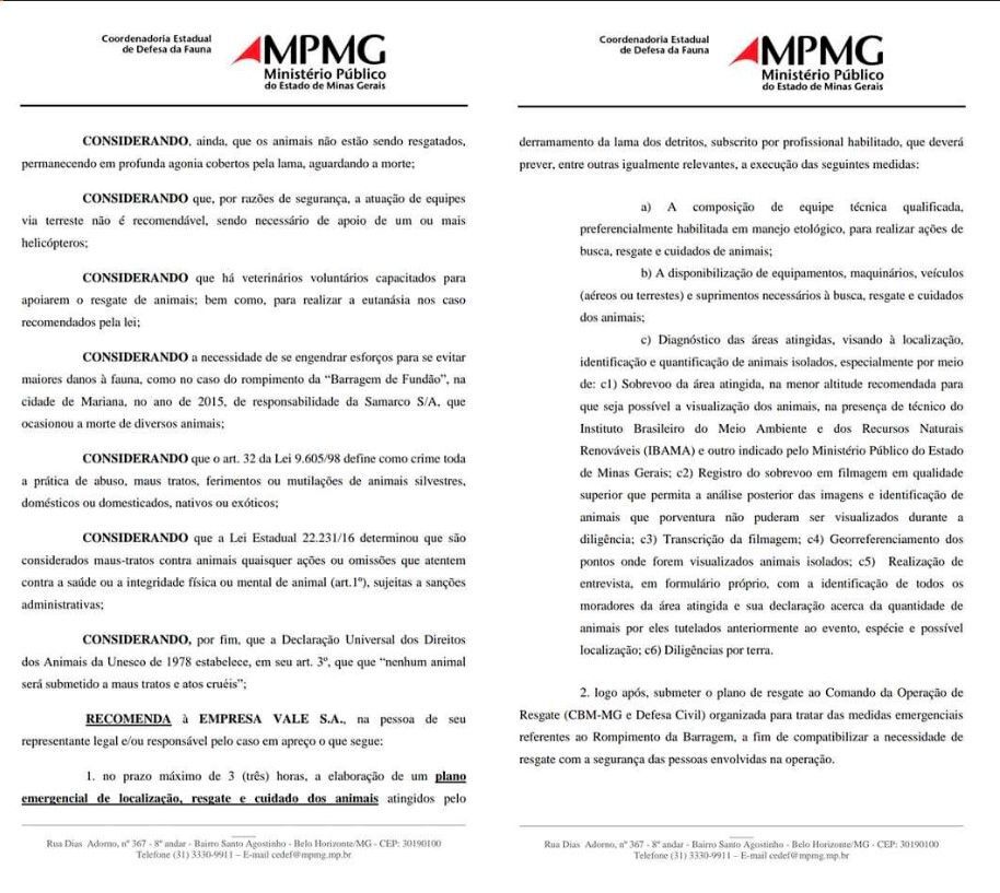 Documento do Ministério Público Estadual de Minas Gerais (MPMG)