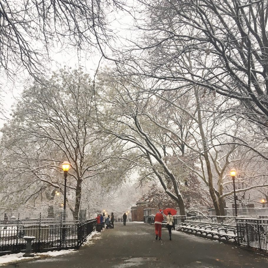 O inverno em Nova York é uma das estações mais difíceis para os turistas