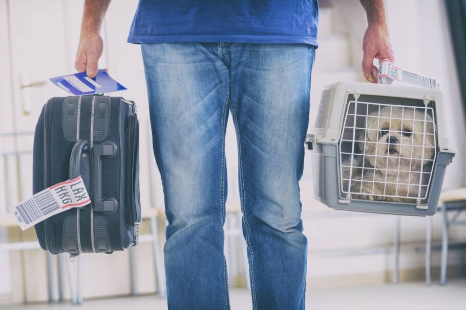 Homem carregando a mala e o cachorro em caixa de transporte