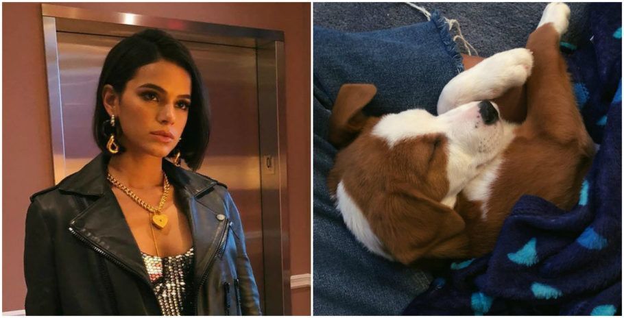 Bruna Marquezine adota cãozinho em Nova York e recebe críticas na web