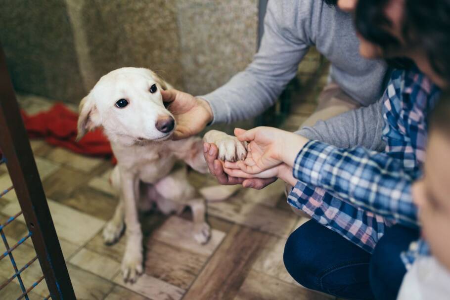 família adotando cachorro