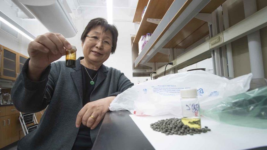 Linda Wang,professora de engenharia química na Universidade de Purdue e líder da pesquisa que desenvolveu o combustível de plástico reciclado