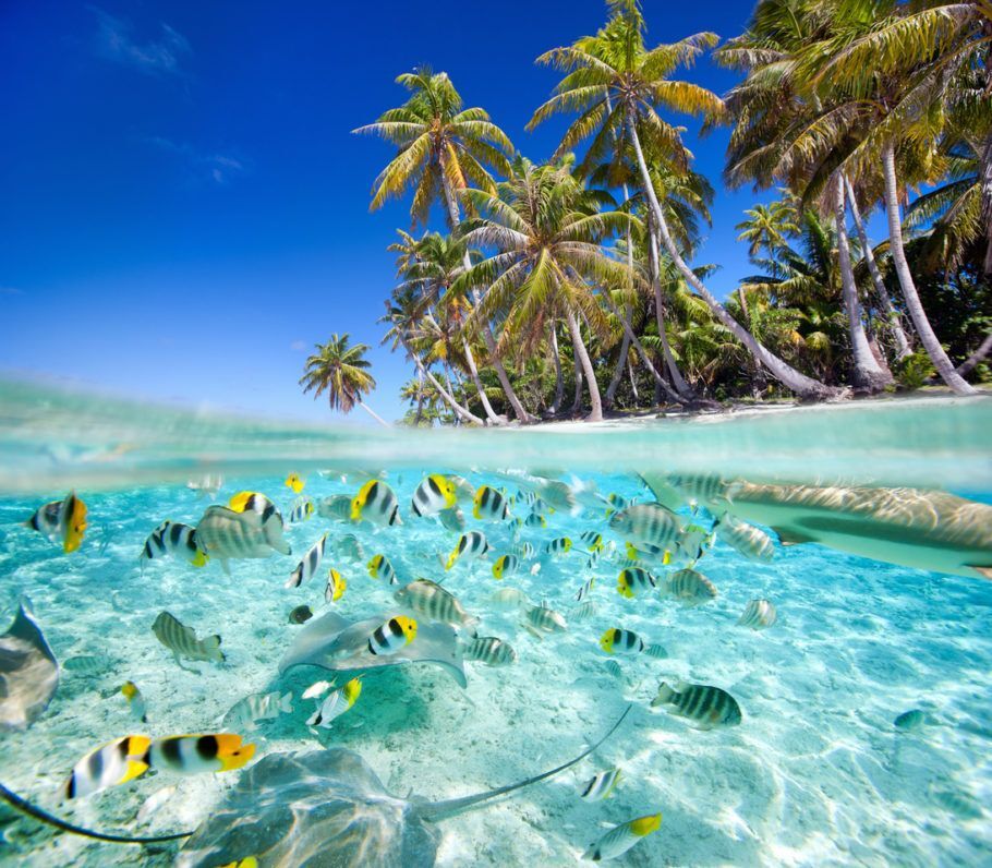 O arquipélago do Tahiti é formado por 118 ilhas, cada uma com suas belezas ímpares