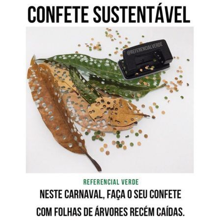 Neste ano surgiu uma nova e ecológica solução: os confetes de folhas!