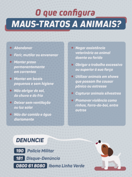 Maus-tratos contra animais: denuncie!