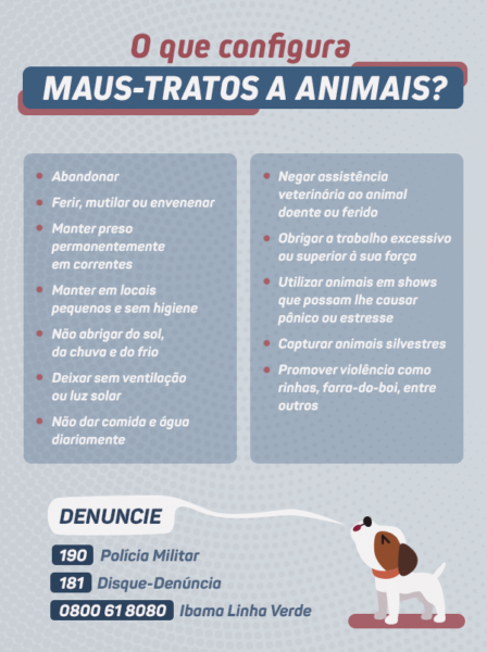 arte com tudo o que é considerado maus-tratos