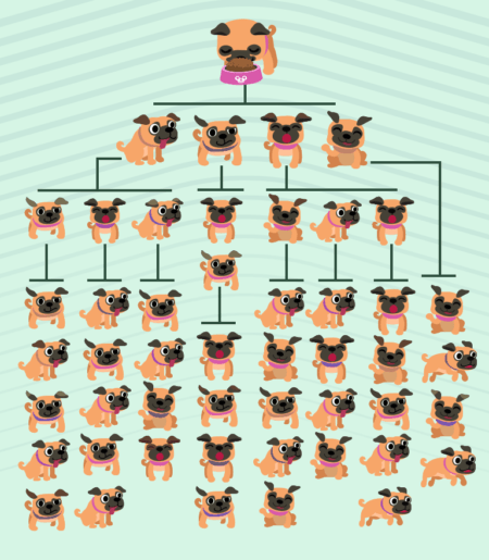 infográfico mostrando a reprodução de cachorros